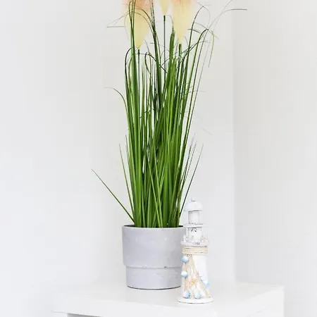 公寓 Haus Windliese 贝塞尔